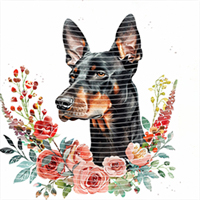 Animal Integration-DW 426